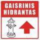 Gaisrinis hidrantas su rodykle tiesiai